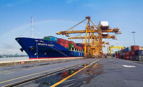 越南经济逆势增长背后的战略选择与文化潜力