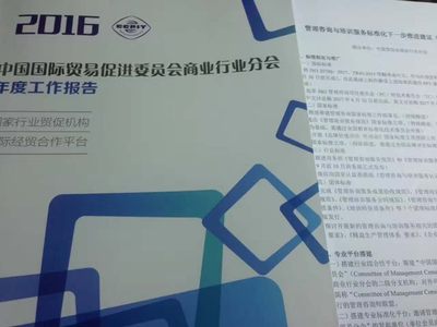 标准引领，智启未来 李德伟出席2017年管理咨询与培训服务标准化研讨会