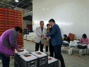 周至县“优质服务提升年”活动深入开展 经贸局局长陈三选走访聚仙食品并指导文化艺术交流
