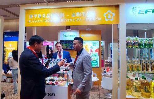 中俄深化战略协作 普京确认访华推动经贸合作新篇章