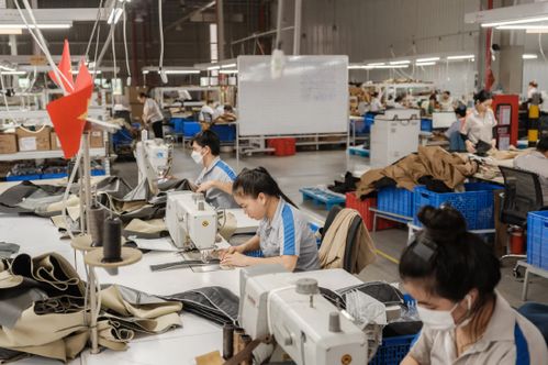 动荡时代下的全球经济前路 挑战、不确定性与战略应对